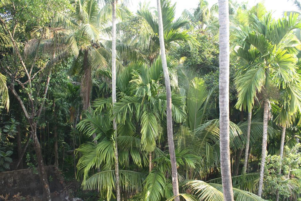 Greenview Homestay Kochi Стая снимка