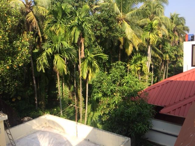 Greenview Homestay Kochi Екстериор снимка